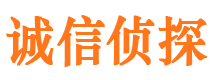 东明侦探公司